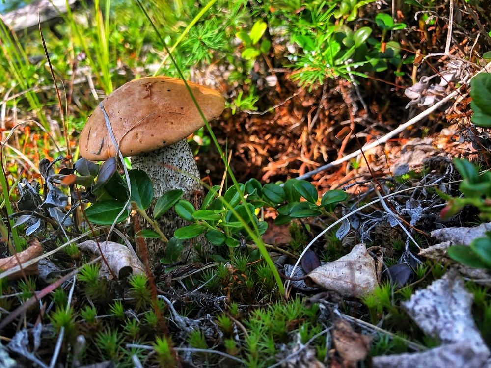 Photograph by Анна Дудко