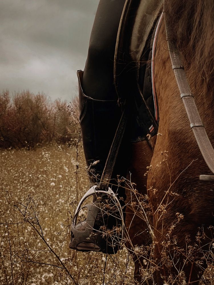 Photograph by Марина Фомичева