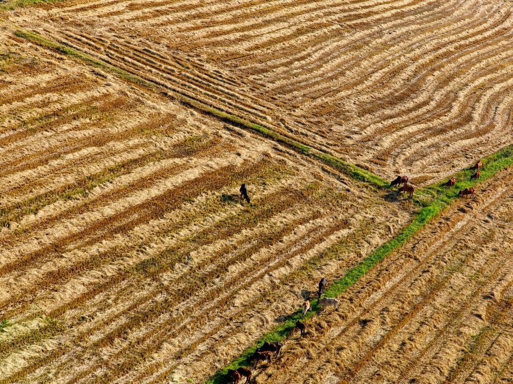 Photograph by Людмила Аксенова