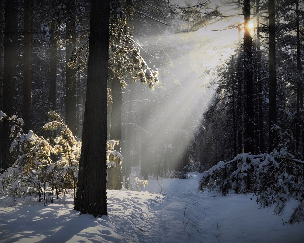 Photograph by Кузнецов Дмитрий