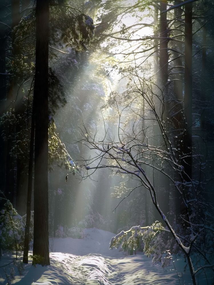 Photograph by Кузнецов Дмитрий