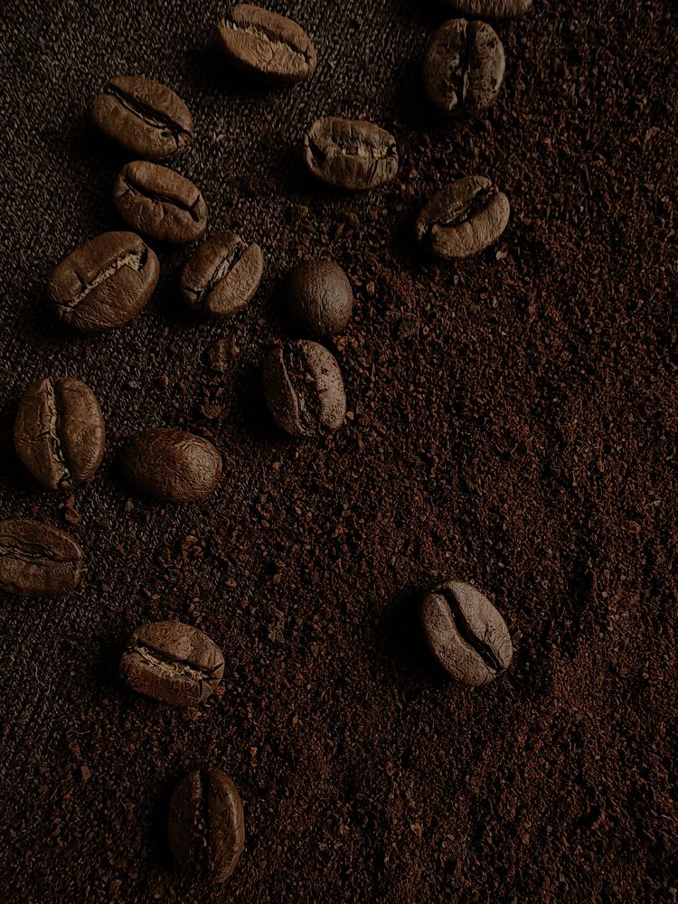 Фотография автора Ирина Петрукович