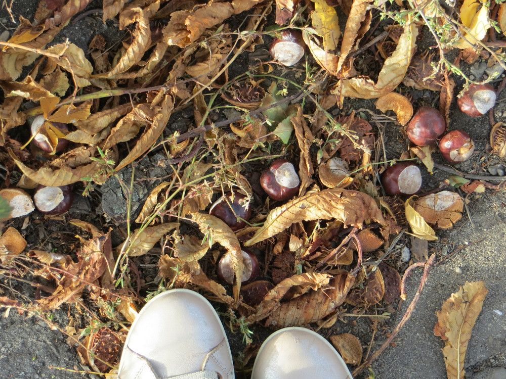 Photograph by Татьяна Поминова