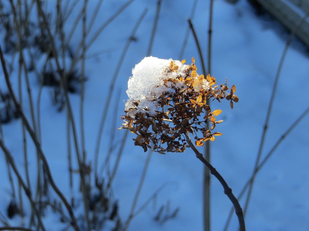 Photograph by Татьяна Поминова