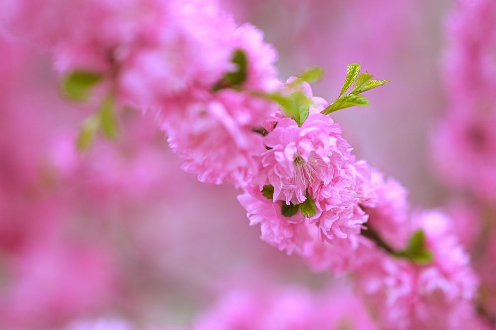 Photograph by Наталья Струц