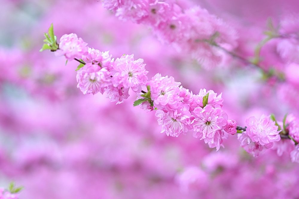 Photograph by Наталья Струц