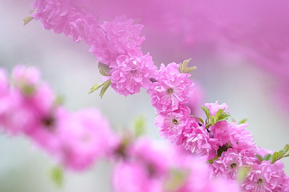 Photograph by Наталья Струц