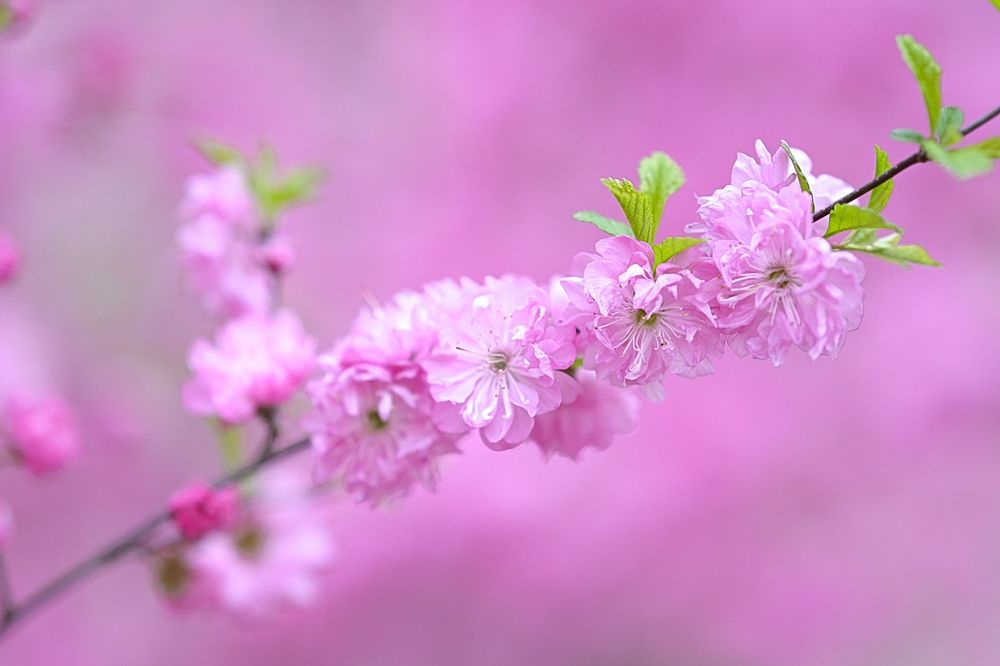 Photograph by Наталья Струц