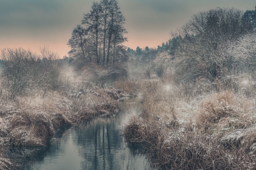 Photograph by Budyta Dariusz