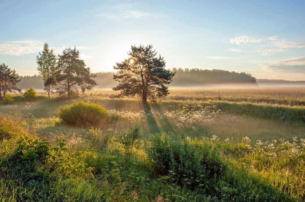 Photograph by Валерий Клейменов