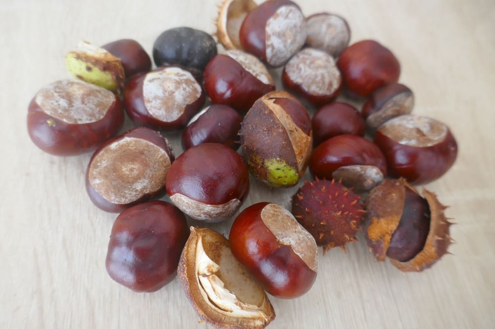 Photograph by Антон