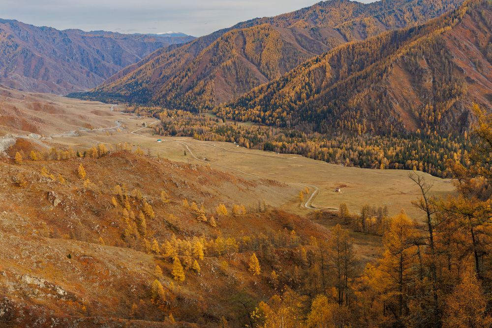 Photograph by Людмила Аксенова