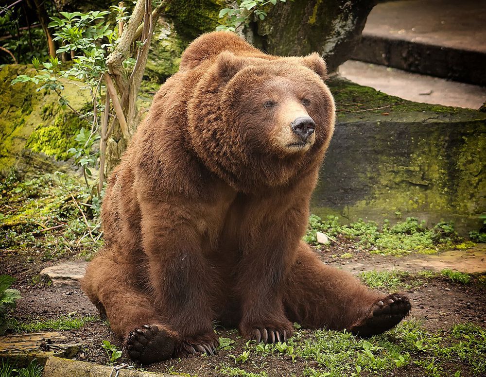 Фотография автора Александр