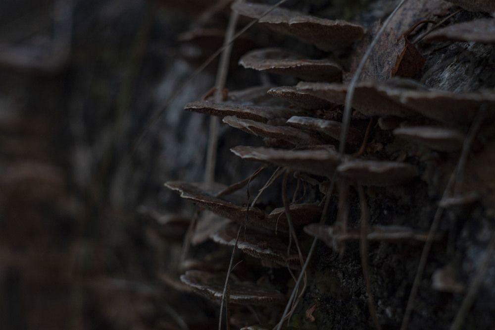 Photograph by Владислав Капанов