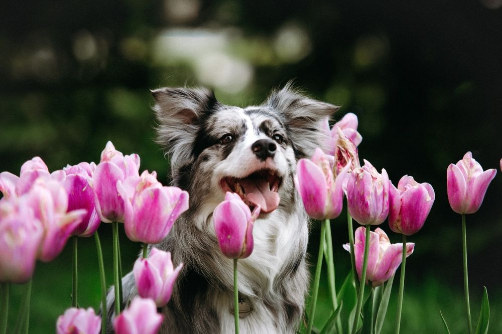 Photograph by Ангелина Ледовская