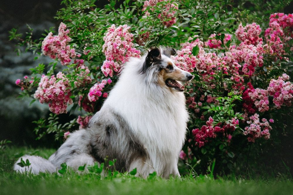 Photograph by Ангелина Ледовская