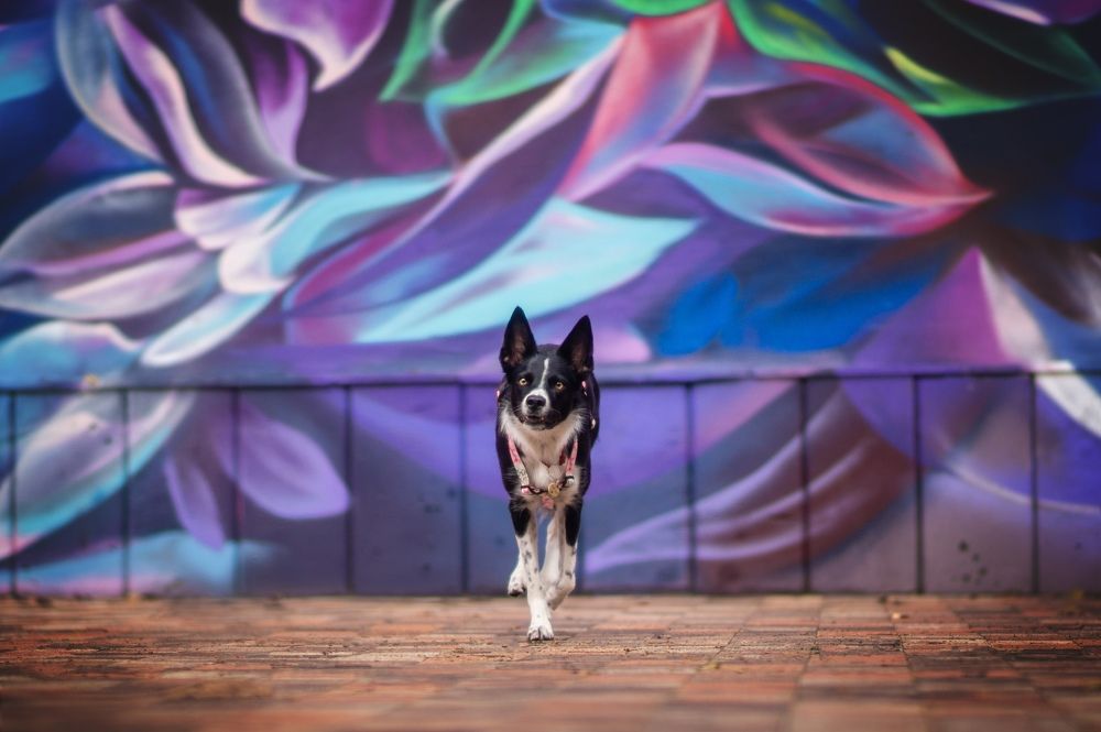 Photograph by Ангелина Ледовская