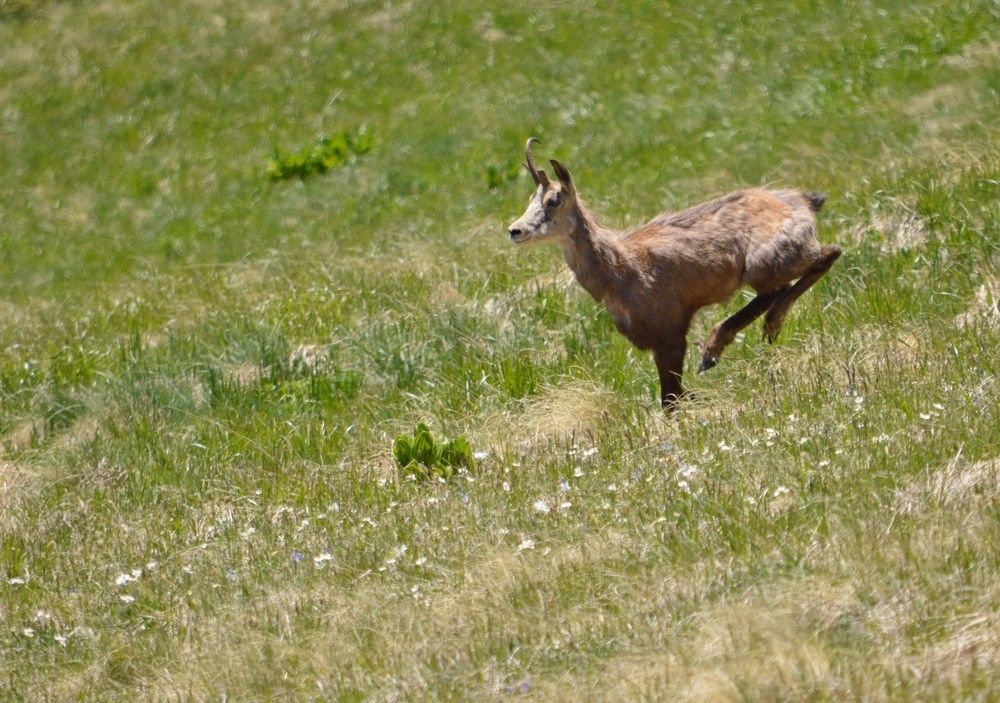 Photograph by Юрий Спасовский