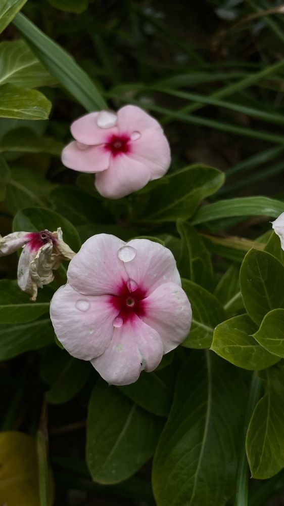 Photograph by Юлия Немцова