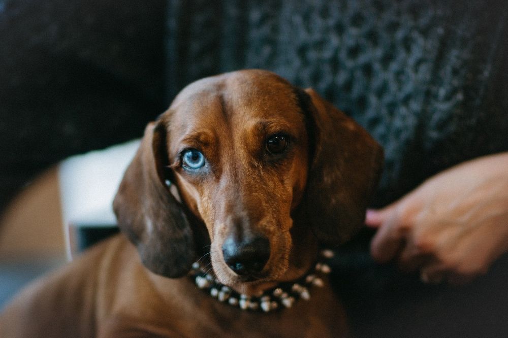 Photograph by Ангелина Ледовская