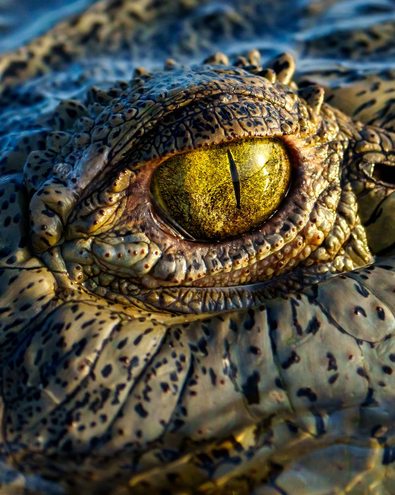 Photograph by Miguel Diaz