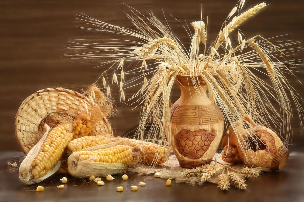 Photograph by Шруб (Беляева) Татьяна