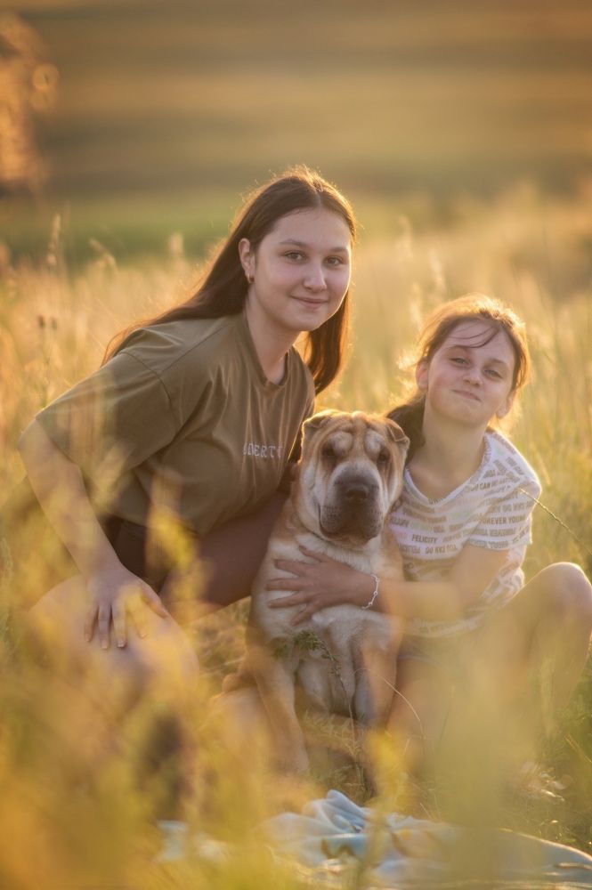 Photograph by Ангелина Ледовская