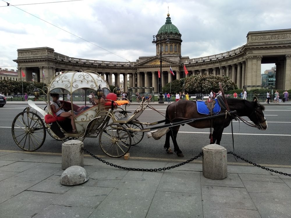 Городская труженица.