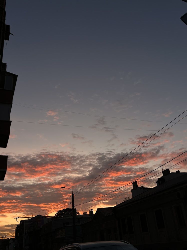 Photograph by Алина Мец