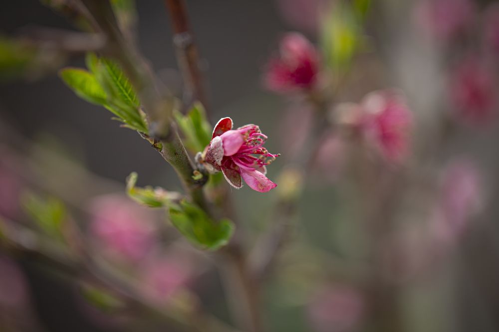 Photograph by Касьянова Ольга