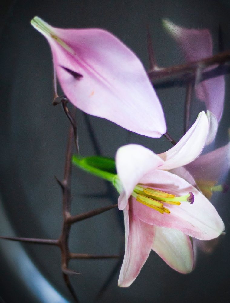 Photograph by Касьянова Ольга