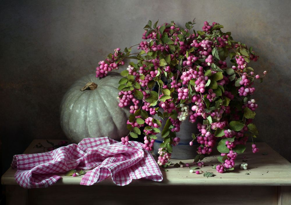 Розовый снежноягодник.