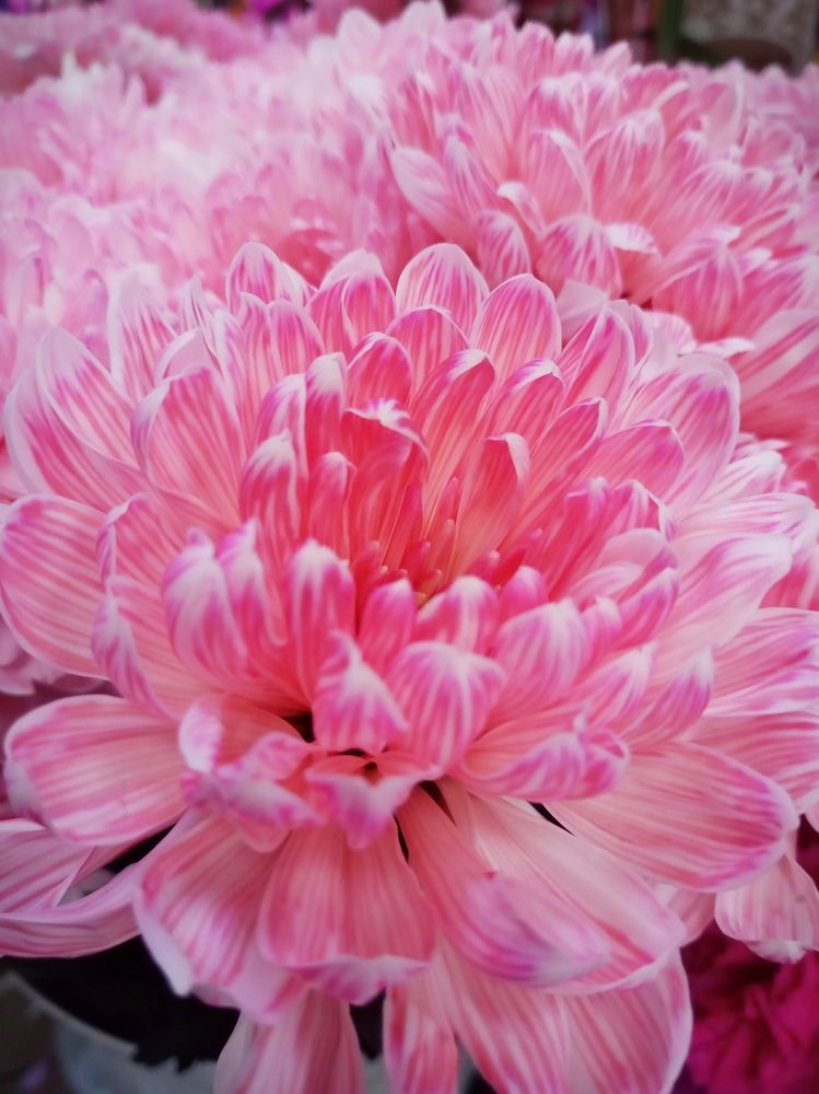 Photograph by Roman Pahota