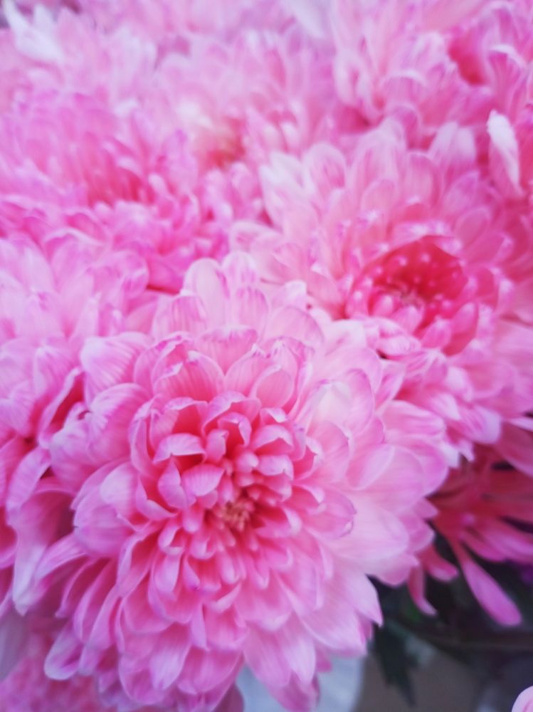 Photograph by Roman Pahota