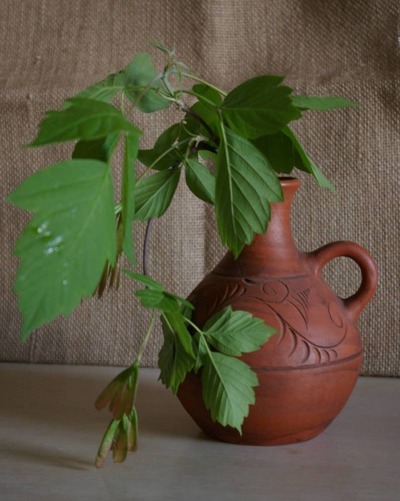 Photograph by Елена Алешкевич