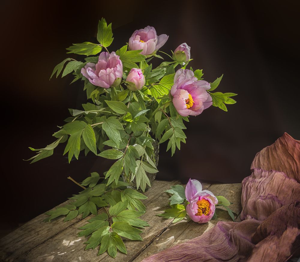 Фотография автора Milena Ivanova