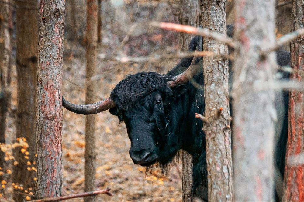 Photograph by Александр Новиков