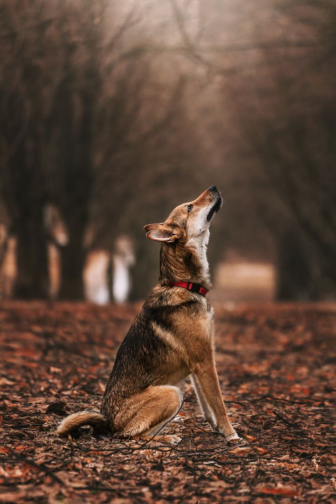 Photograph by Татьяна Степанова