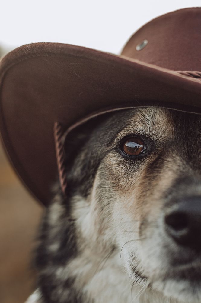 Photograph by Татьяна Степанова