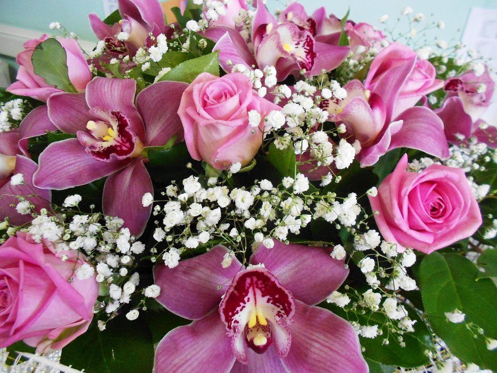 Photograph by Елена Казарина