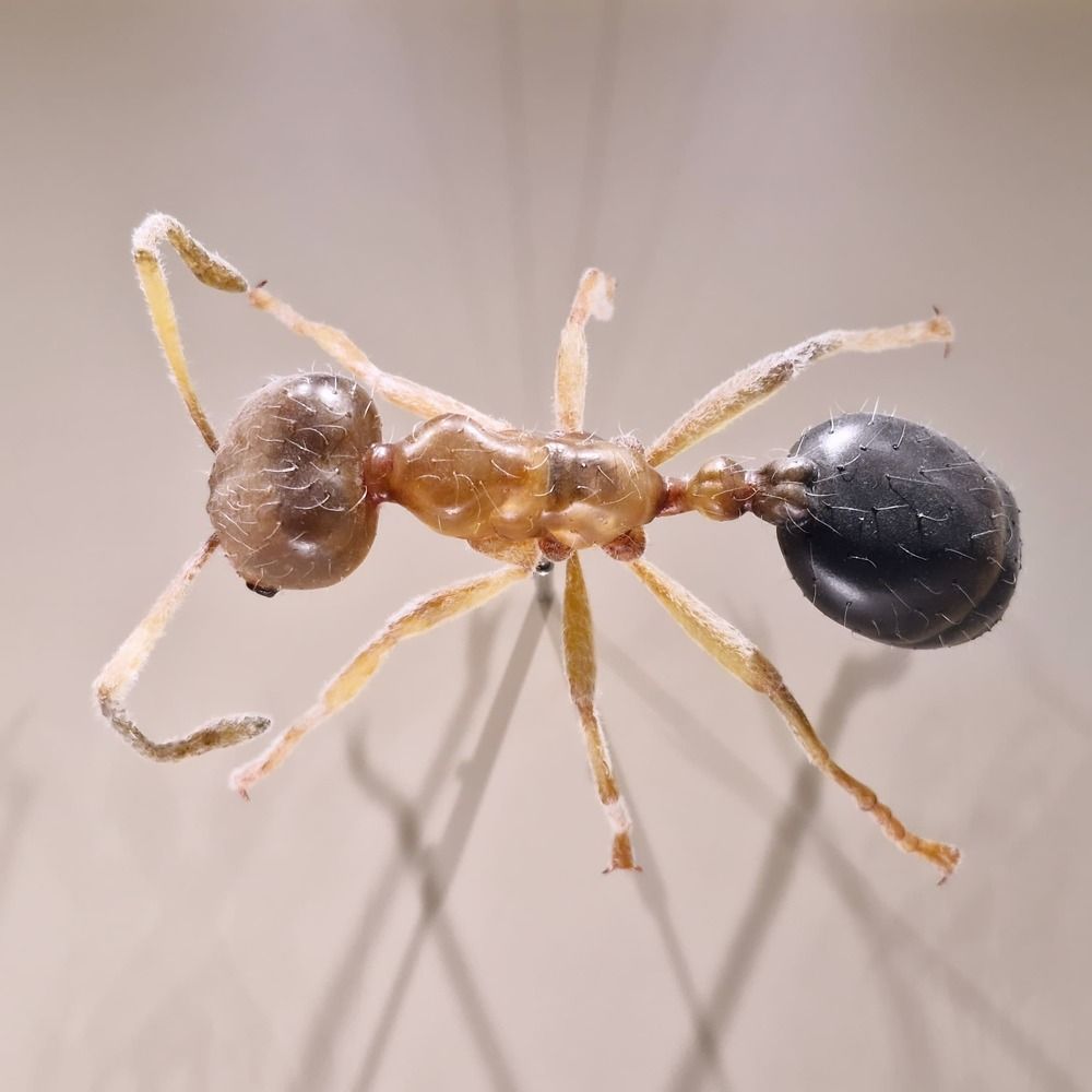 Photograph by Jishnu Sudarsan