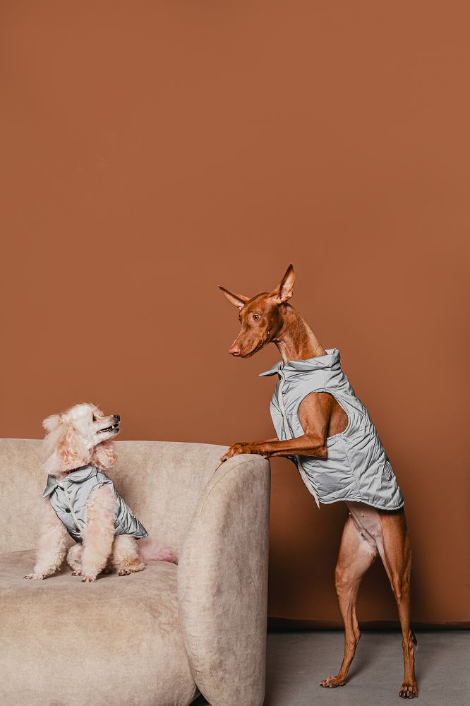 Photograph by Татьяна Степанова