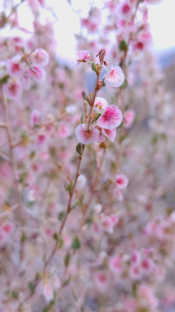 Photograph by Mina Mamdouhi