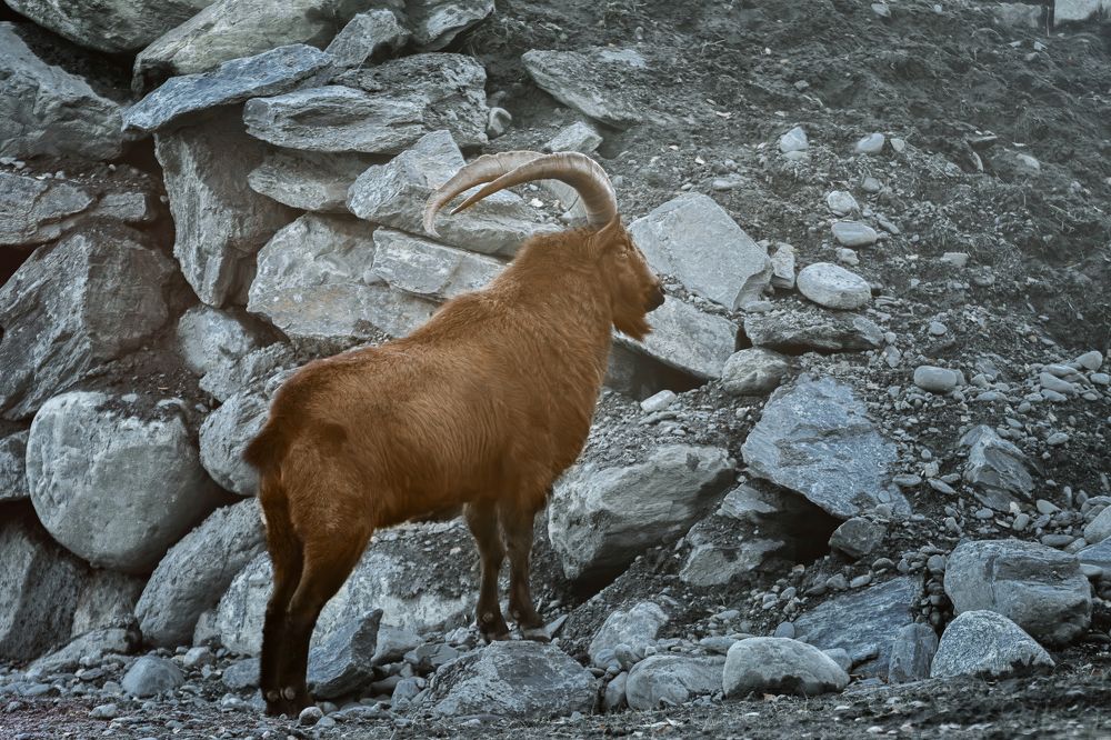 Photograph by Зубкова Юлия