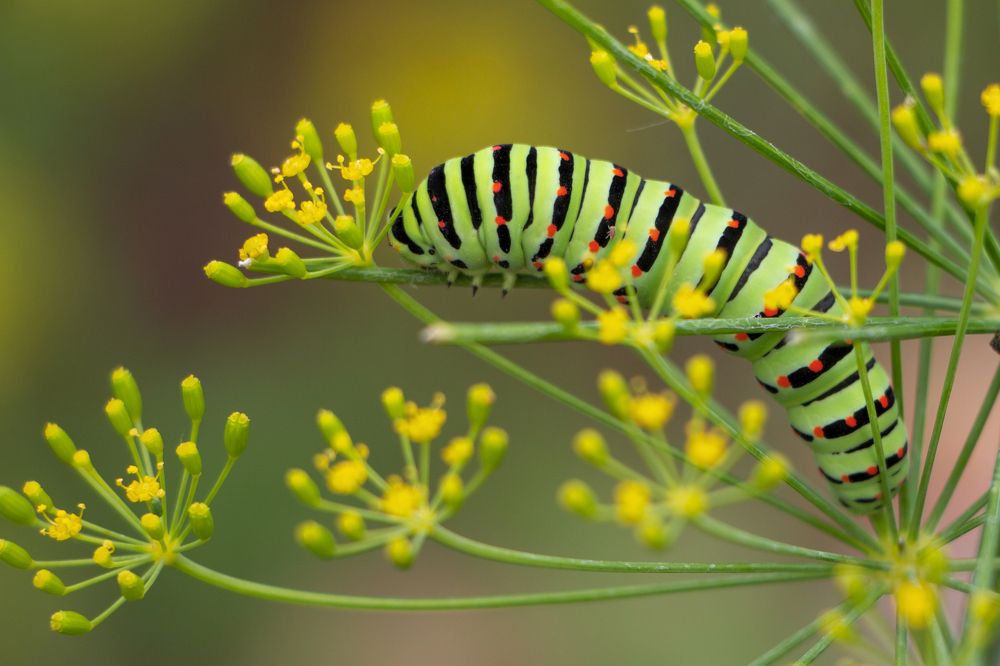 Photograph by Анастасия Северюхина
