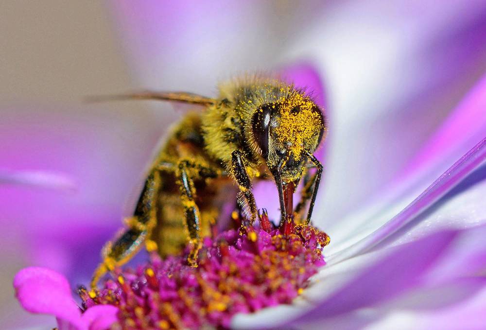 Photograph by Marjo Steffen