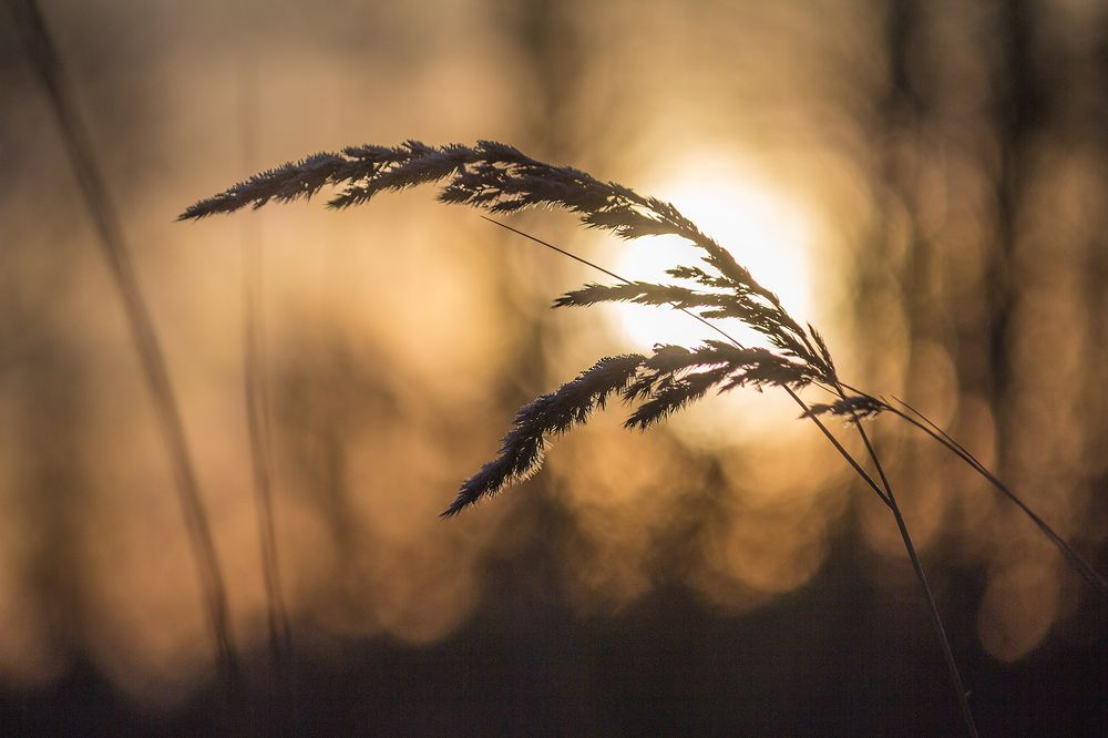 Фотография автора Борис Журавлёв