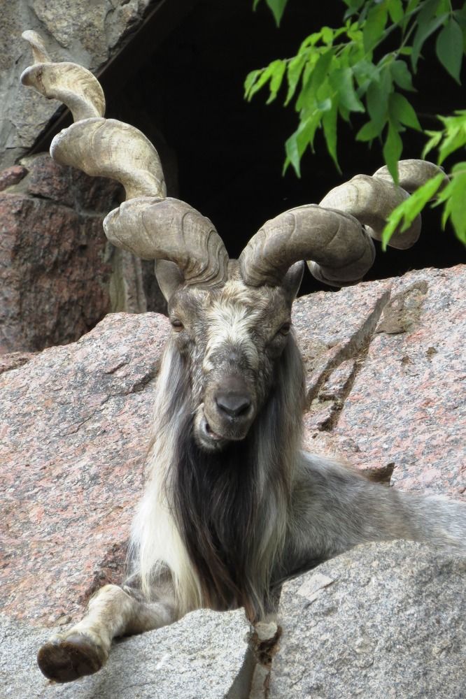 Photograph by Елена Казарина