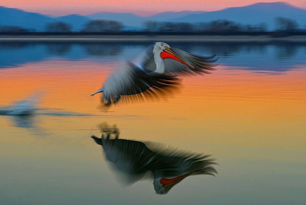 Photograph by nimalan subramaniam