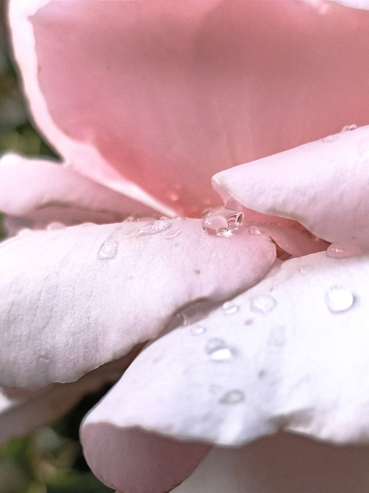 Photograph by Viktoryia М